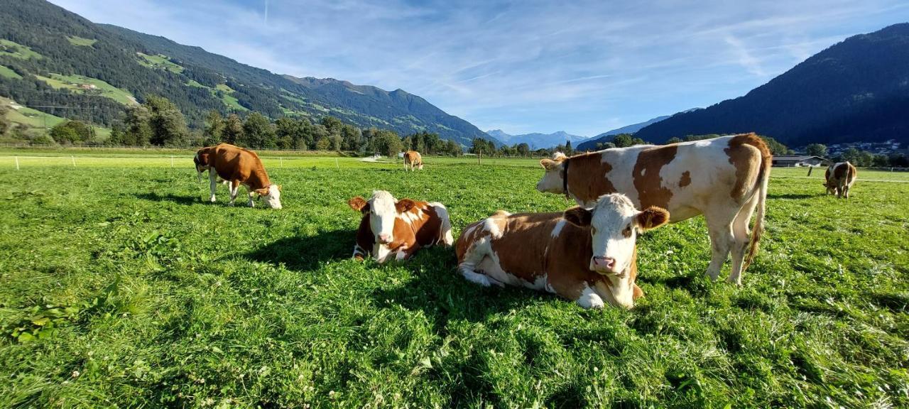 Hotel Brixnerhof Im Zillertal Schlitters Exterior foto